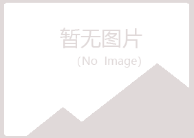 麻山区映梦服务有限公司